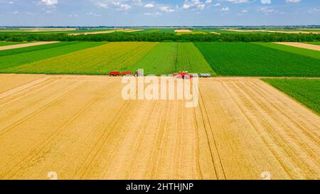 Vista aerea dall'alto della preparazione, prendere posto vicino al rimorchio per il trasbordo dalla trebbiatrice agricola, dalla mietitrebbia, dallo scarico del grano raccolto Foto Stock