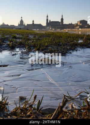 Dresda, Germania. 01st Mar 2022. Parti dei prati dell'Elba sono ghiacciate al mattino all'alba di fronte al paesaggio della città vecchia con la Frauenkirche (l-r), il Ständehaus, l'Hofkirche, l'Hausmannsturm e il Semperoper. Credit: Robert Michael/dpa-Zentralbild/dpa/Alamy Live News Foto Stock