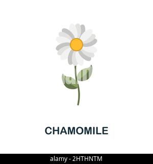 Icona piatta camomilla. Simbolo colorato della collezione di fiori. Flat Chamomile icona segno per il web design, infografica e altro ancora. Illustrazione Vettoriale