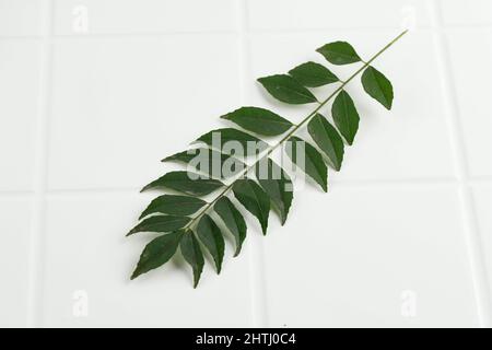 Salam Koja (Murraya koenigii syn. Chalcas koenigi) o Temurui, noto come Curry Leaves. O Daun Kari. Isolato su bianco Foto Stock