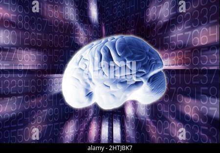 cervello e numeri umani, funzione cognitiva e logica del cervello Foto Stock
