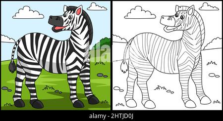 Zebra Coloring Page Illustrazione colorata Illustrazione Vettoriale