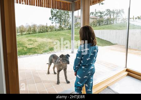 Vista posteriore della ragazza in pajama giocando con carino nero American Pit Bull Terrier mentre in piedi vicino porta di vetro in campagna con prato verde Foto Stock