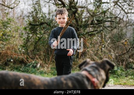 Content ragazzo con bastone di legno giocando con carino American Pit Bull Terrier cane sul prato erboso in campagna Foto Stock