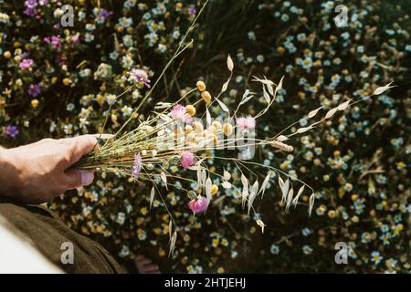 Da sopra di raccolto anonima persona con bouquet di fiori selvatici in piedi in campo con piccoli fiori in fiore in campagna soleggiata Foto Stock