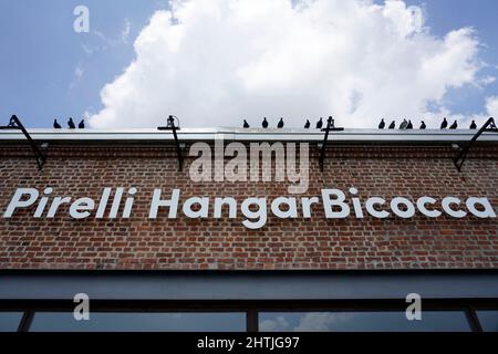 Mostra “Breath Ghosts Blind” Maurizio Cattelan, progetto sito-specifico, Fondazione Pirelli Hangar Bicocca, galleria d’arte contemporanea, Milano, Lom Foto Stock