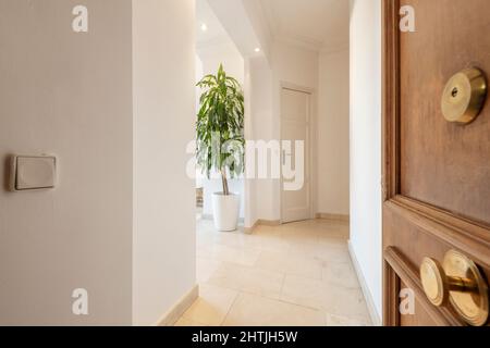 Ingresso ad una casa residenziale con una porta in legno e finiture in ottone e una grande pianta sullo sfondo Foto Stock