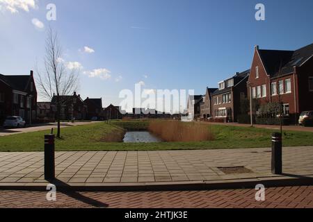 Nuove case nella zona residenziale di Koningskwartier a Zevenhuizen nei Paesi Bassi Foto Stock