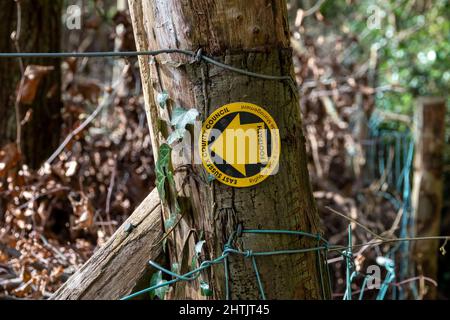 Primo piano parte superiore di un cartello giallo roundel sentiero che punta a sinistra su una sezione di recinzione in legno fattoria Foto Stock