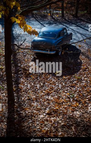 Estremità posteriore di Dodge Wayfarer parcheggiato Foto Stock