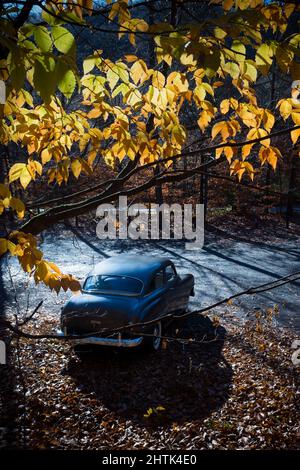 Estremità posteriore di Dodge Wayfarer parcheggiato Foto Stock