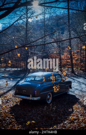 Estremità posteriore di Dodge Wayfarer parcheggiato Foto Stock