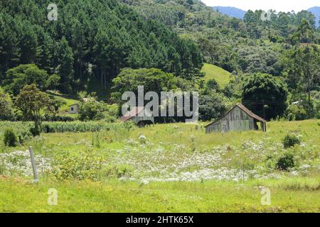 Scenario tipico della zona rurale dell'interno di Santa Catarina. Foto Stock