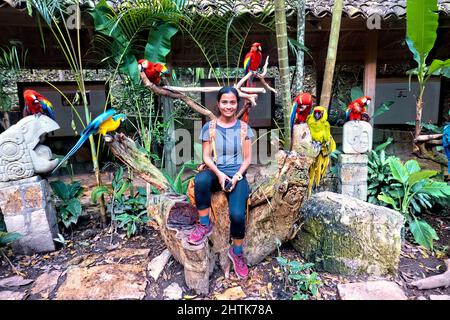 Circondato da macaws a Macaw Mountain, Copan Ruinas, Honduras Foto Stock