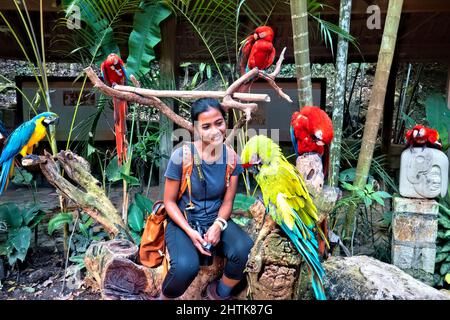 Circondato da macaws a Macaw Mountain, Copan Ruinas, Honduras Foto Stock