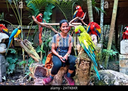 Circondato da macaws a Macaw Mountain, Copan Ruinas, Honduras Foto Stock