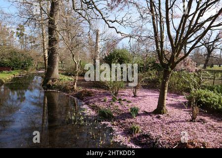 Il paesaggio di Bush Park è un mosaico di storia inglese che abbraccia un millennio: Si possono vedere i resti di sistemi agricoli medievali, l'eredità di un parco di cervi Tudor, giardini d'acqua di 17th secolo e caratteristiche decorative che rappresentano l'altezza del gusto neoclassico, e tracce di campi militari che hanno giocato ruoli notevoli nelle guerre mondiali. Foto Stock