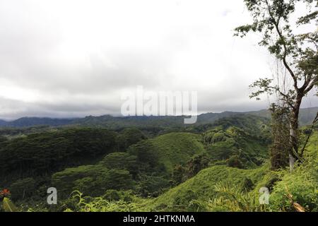 Una vasta distesa di foresta pluviale nella Riserva della Foresta di Lihue-Koloa a Kaaa'a, Kauai, Hawaii, USA, con montagne che si innalzano in lontananza su un nuvoloso, overc Foto Stock