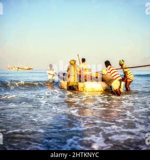 La cattura, pesca commerciale sostenibile a Goa, India. Spiaggia di mattina presto come il pesce viene a riva da piccolo Foto Stock