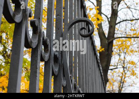 Dettagli della recinzione in metallo forgiato nero, foto ravvicinata con messa a fuoco selettiva. Architettura classica di San Pietroburgo, Russia Foto Stock