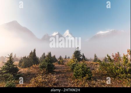 Monte Assiniboine con foresta autunnale in nebbia al mattino. Assiniboine Provincial Park, BC, Canada Foto Stock