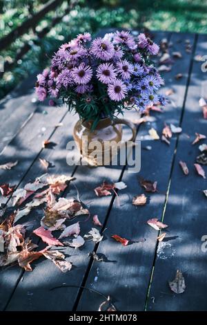 Bouquet floreale viola d'autunno in vaso su un tavolo da giardino circondato da foglie Foto Stock