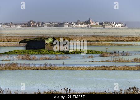 Hutte de chasse en baie de Somme pendant les grandes marées, le Crotoy, le Houredl, Saint Valery sur Somme Foto Stock