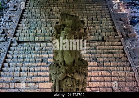 Scalinata geroglifica e stela alle rovine Maya Copan, rovine Copan, Honduras Foto Stock