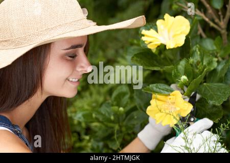 I ceneri lavoravano sodo per quei fiori perfetti. Una bella giovane donna che tende ai fiori nel suo giardino. Foto Stock