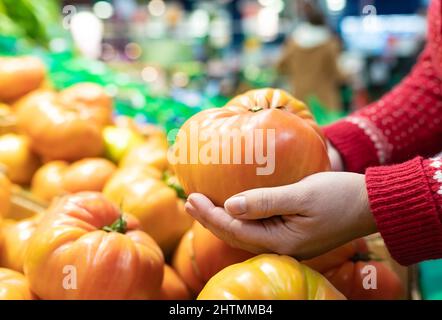 Giovane donna che tiene un enorme pomodoro fresco nelle sue mani. Primo piano dettaglio delle mani con il pomodoro. Foto Stock