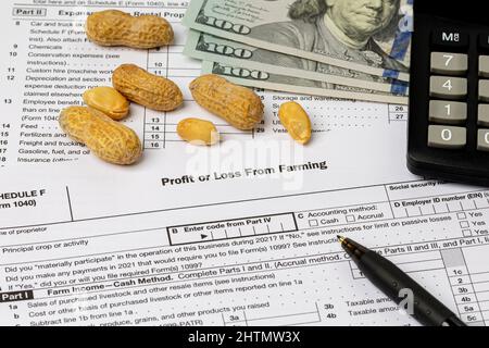 Arachidi e forma di imposta di fattoria. Reddito agricolo, finanze e concetto di gestione. Foto Stock