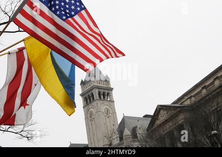 1 marzo 2022, Washington, Dastric of Columbia, USA: Le bandiere ucraine sono viste lungo la Pennsylvania Av a sostegno della gente ucraina, oggi il 01 marzo 2022 davanti all'International Trump Hotel a Washington DC, USA. (Credit Image: © Lenin Nolly/ZUMA Press Wire) Foto Stock