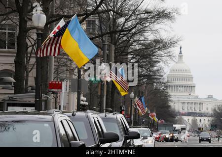 1 marzo 2022, Washington, Dastric of Columbia, USA: Le bandiere ucraine sono viste lungo la Pennsylvania Av a sostegno della gente ucraina, oggi il 01 marzo 2022 davanti all'International Trump Hotel a Washington DC, USA. (Credit Image: © Lenin Nolly/ZUMA Press Wire) Foto Stock