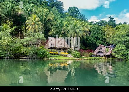 Tetto di paglia a casa sul Rio Dulce, Guatemala Foto Stock