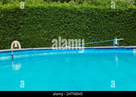 Piscina al piano terra in cortile residenziale protetto da un Thuja occidentalis - Cedro siepe in estate. Foto Stock