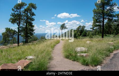 Sentiero lastricato che attraversa l'erba e gli alberi sparsi in alto con montagne in lontananza. Foto Stock