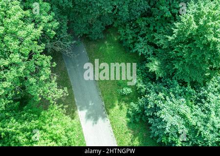 vista dall'alto del sentiero attraverso gli alberi nel parco estivo. foto con drone aereo che guarda in basso. Foto Stock