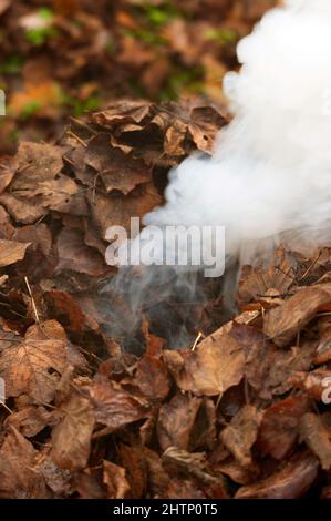 Fumo che esce da mucchio di foglie che bruciano Foto Stock