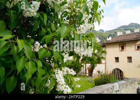 Convento di San Giovanni in Muestair, Regione Engiadina bassa / Val Muestair in Svizzera Kanton Graubuenden (Svizzera) Foto Stock