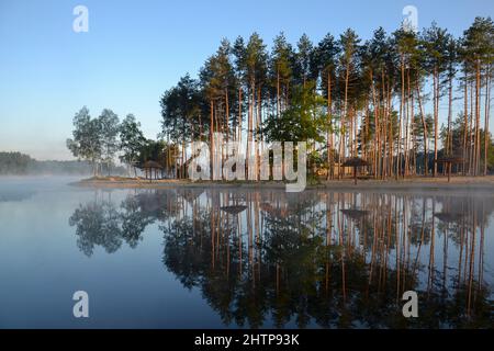Nebbia mattutina e nebbia lacustre che si innalza su riflessi fermi di pini sulla laguna di Krasnobrod del fiume WIEPRZ in Polonia Foto Stock