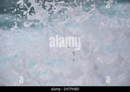 Onde con spruzzi rotolano su una costa rocciosa. Le onde si infrangono su una costa rocciosa della Gulf Coast. Schiuma dal mare spruzzi Foto Stock