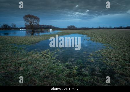 Prato con pozze primaverili in serata nuvolosa, Nowiny, Polonia Foto Stock