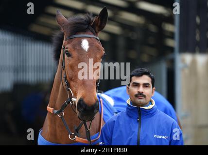 Traduzione di cavalli durante una visita al Colin Tizzard e al cantiere di Joe Tizzard presso la Spurles Farm, Somerset. Data foto: Mercoledì 2 marzo 2022. Foto Stock