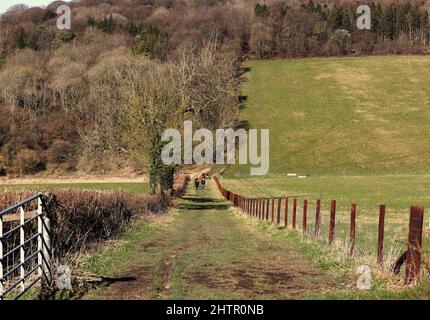 Un paesaggio rurale inglese con sentiero tra campi nella collina Chiltern nel South Oxfordshire con gruppo di ramblers Foto Stock