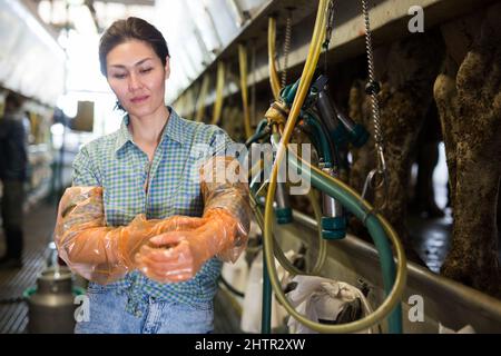 Donna casearia asiatica che si prepara per mungere le mucche Foto Stock