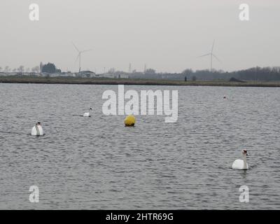 Sheerness, Kent, Regno Unito. 2nd Mar 2022. Tempo britannico: Una giornata bagnata e grigia a Sheerness, Kent. Credit: James Bell/Alamy Live News Foto Stock