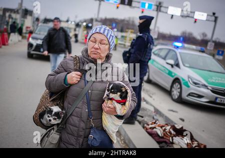 Medyka, Polonia. 02nd Mar 2022. Con le lacrime negli occhi, una donna attraversa il confine ucraino-polacco insieme ai suoi cani. Qui numerose persone attraversano il confine fuggendo dalla guerra in Ucraina. Credit: Kay Nietfeld/dpa/Alamy Live News Foto Stock