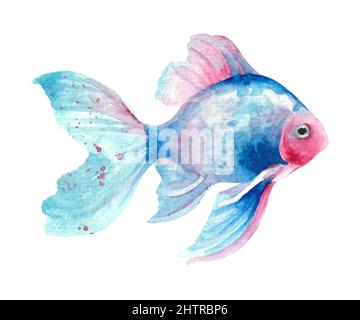 Acquerello pesce. Disegno a mano blu pesce illustrazione isolato su sfondo bianco. Animali marini Foto Stock