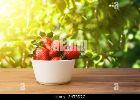 Ciotola bianca di fragole fresche su un tavolo di legno posto all'esterno su uno sfondo di foglie verdi Foto Stock