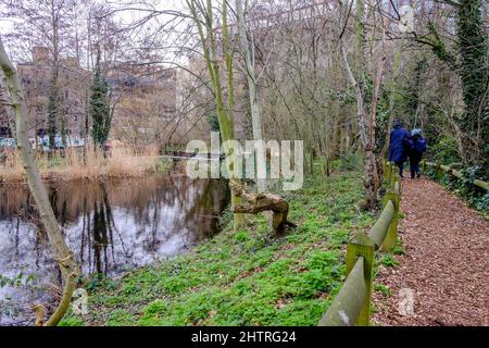 Camley Street Natural Park, Londra Regno Unito Foto Stock